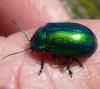 349820 – Photo : Emmanuel Ruchon – France (26)